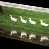 'Eight Little Ducks' All Butter Shortbread Squares 180g