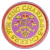King Charles III Coronation Deepwell Tin Tray