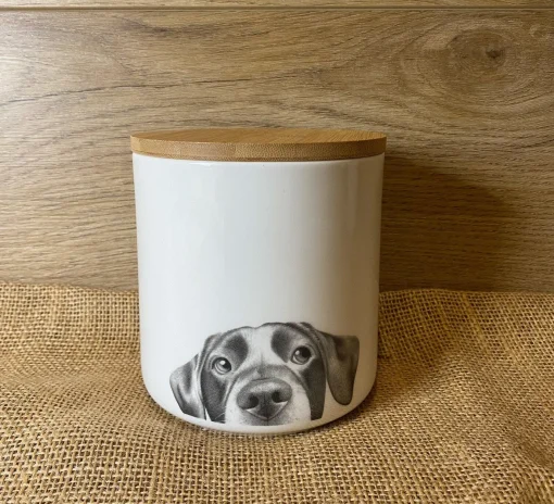 Lenny the Labrador Fine Bone China Storage Jar