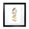 Oyster Print by Corinne Alexander