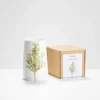 Silver Birch Vase