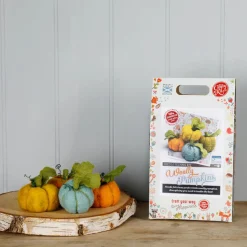 Woolly Pumpkins Needle Felting Kit