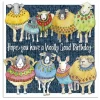 Woolly Sheep Woolly Good Birthday Greetings Card